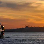 Elasophia
