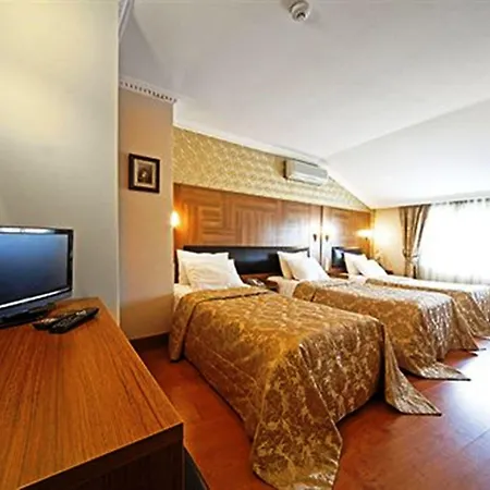 Hotell Elasophia