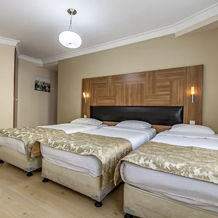 Hotell Elasophia 2*