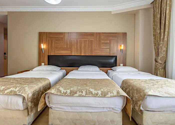 Elasophia فندق 2*