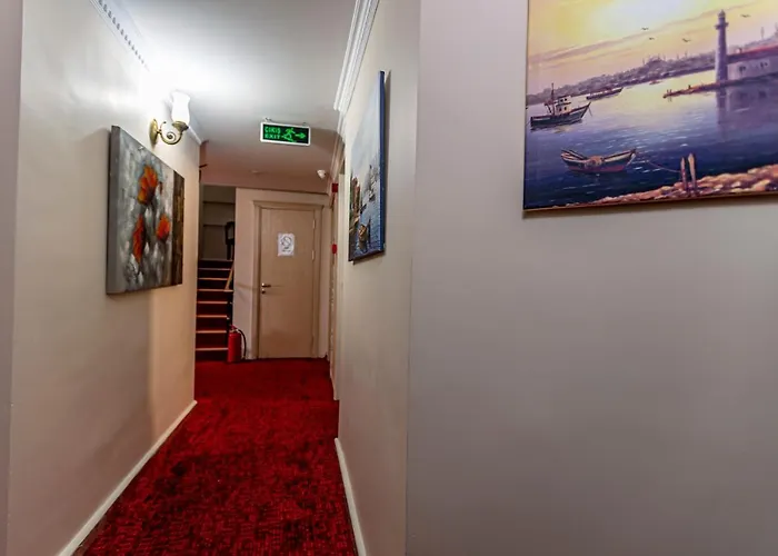 Elasophia اسطنبول