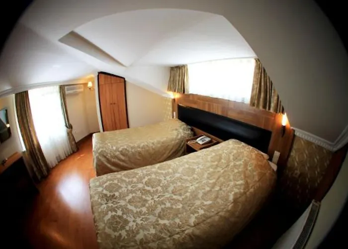 فندق Elasophia اسطنبول