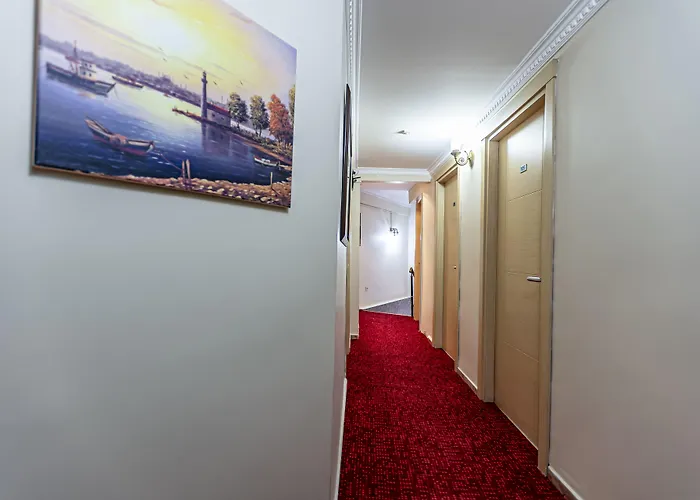 Elasophia اسطنبول