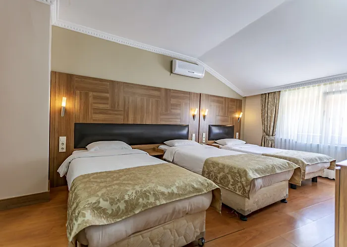 Elasophia 2* اسطنبول