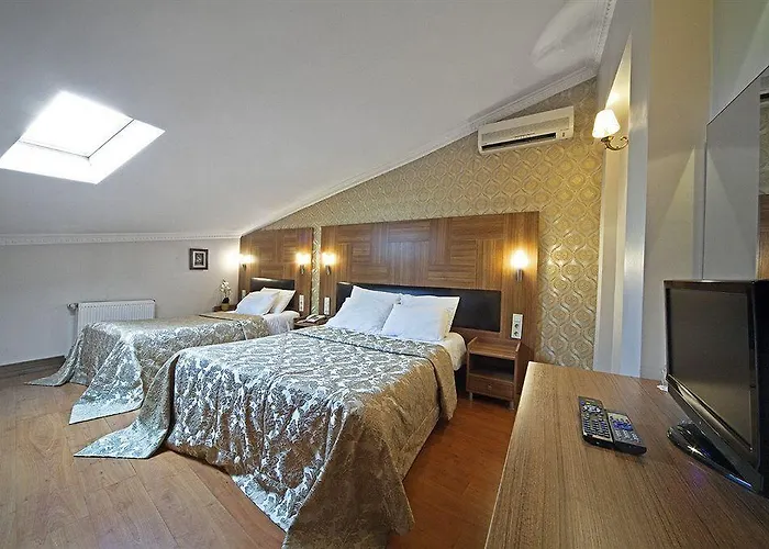 Elasophia اسطنبول