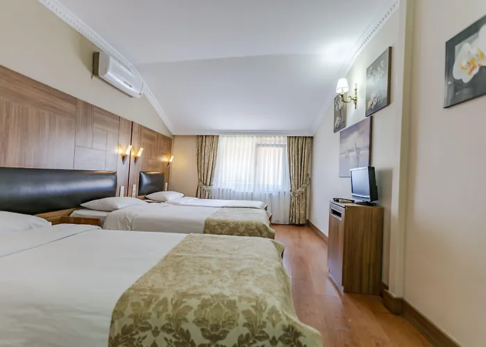 Elasophia Istanbulská provincie